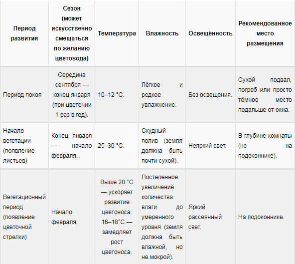 Гіппеаструм, посадка і догляд в домашніх умовах