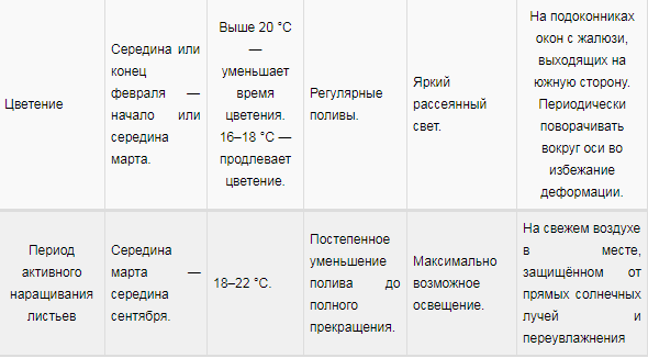 Гіппеаструм, посадка і догляд в домашніх умовах