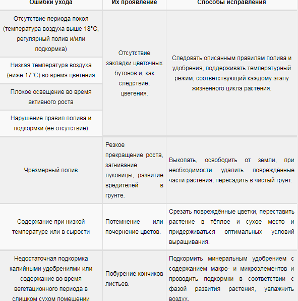 Гіппеаструм, посадка і догляд в домашніх умовах