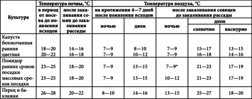 Розсада перцю, посадка і догляд