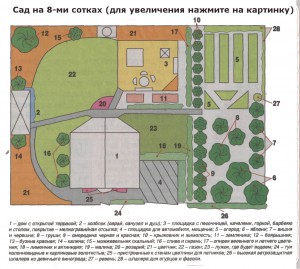 План створення красивого саду